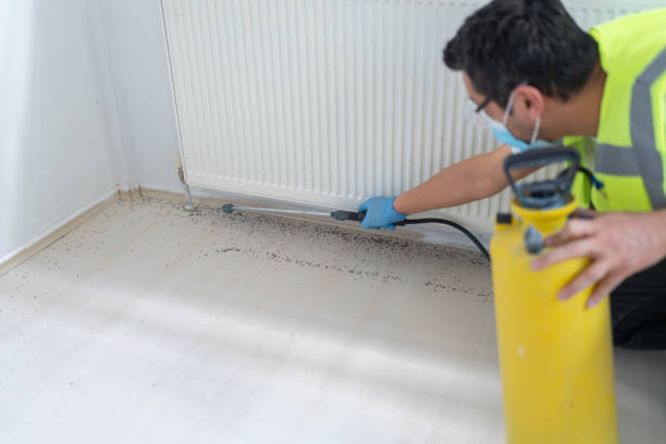 Best Bed Bug Extermination  in Argo, AL